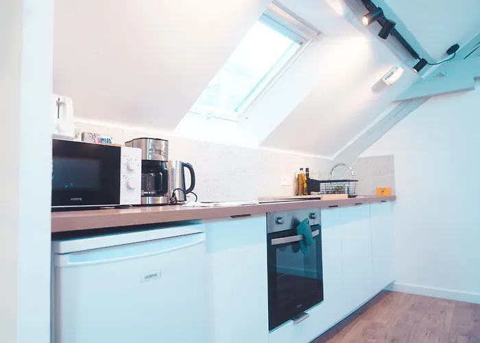 公寓 Le Nid Daigle - Spacieux Sous Les Toits 图尔