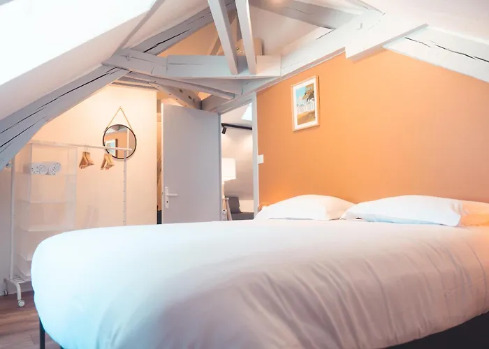 Le Nid Daigle - Spacieux Sous Les Toits Lägenhet Tours